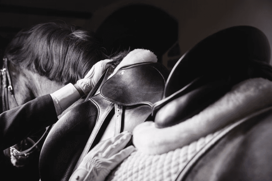 Begagnad ridsportutrustning