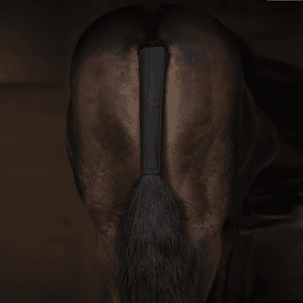 Svansskydd, Hansbo Sport