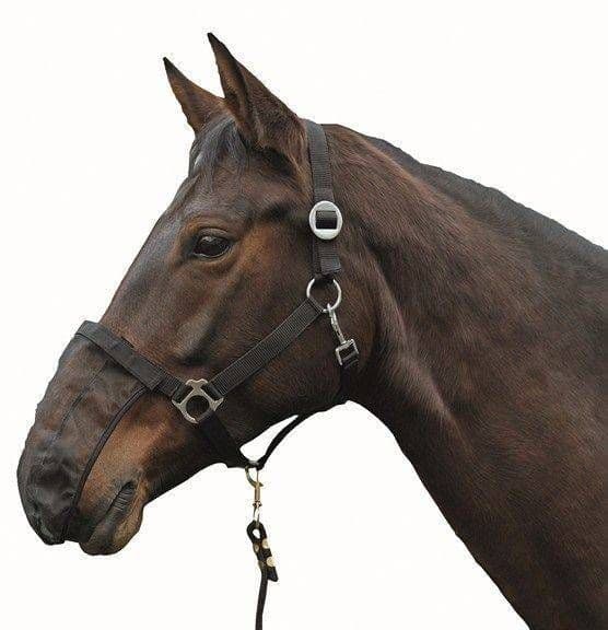 Nosnät, one size, HKM