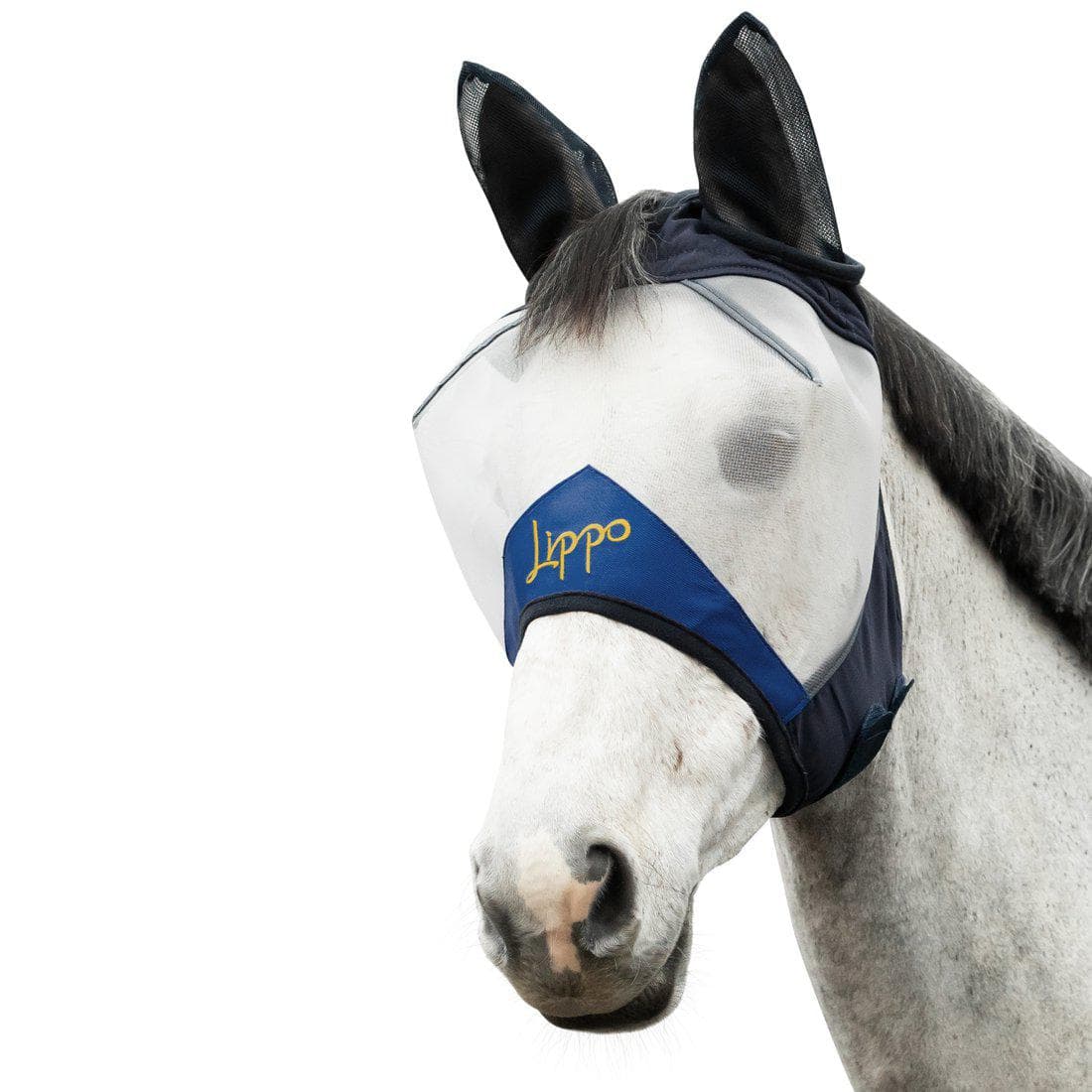 Flughuva, XS-XL, Lippo Pro Series