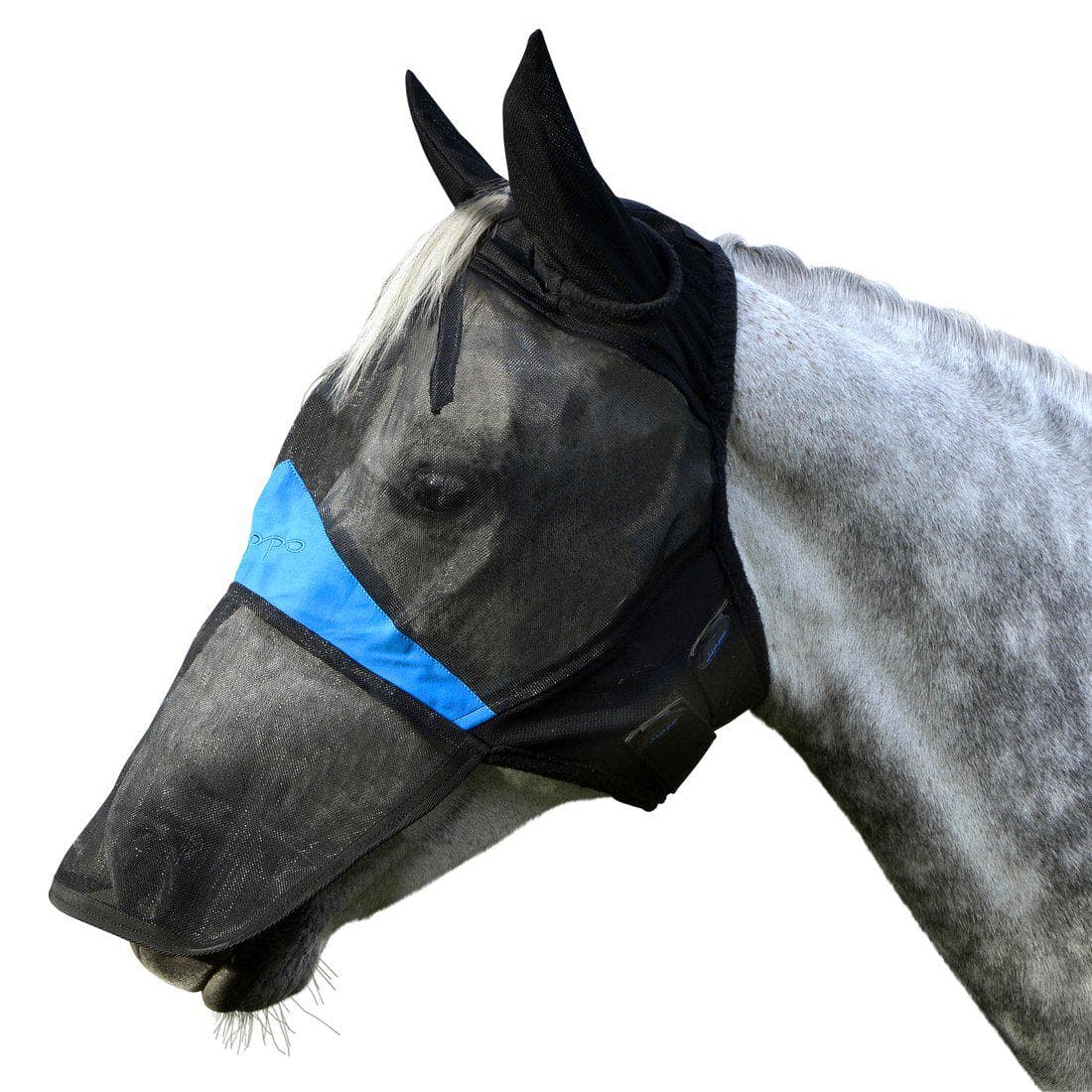 Flughuva, XS-S, Lippo