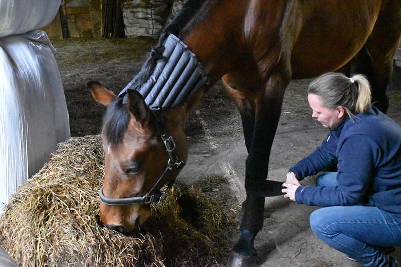 Nackvärmare, Equie Eco