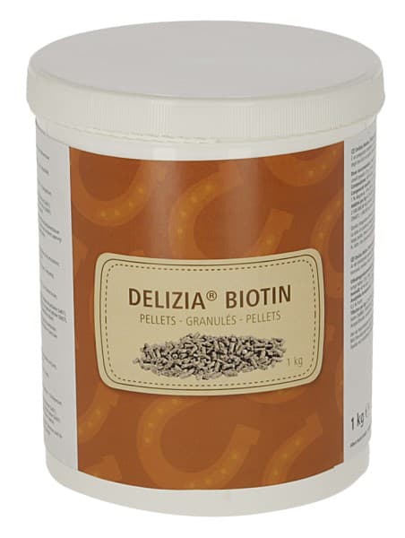 Biotin, 1 kg, Delizia