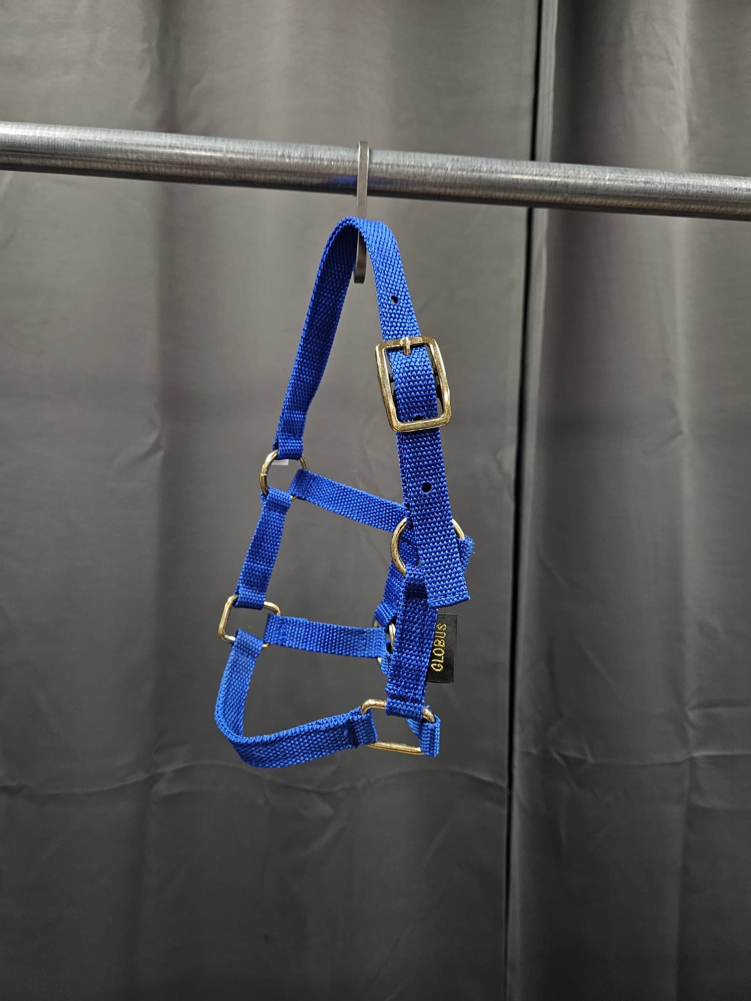 Nylongrimma, föl XS, Globus