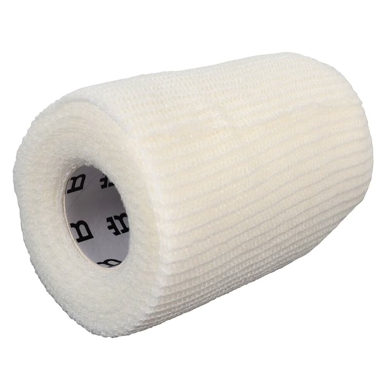 Gasbinda, Eclipse Biofarmab