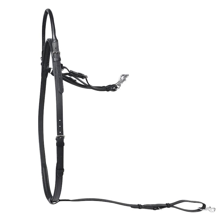 Halsrem, one size, Hansbo Sport