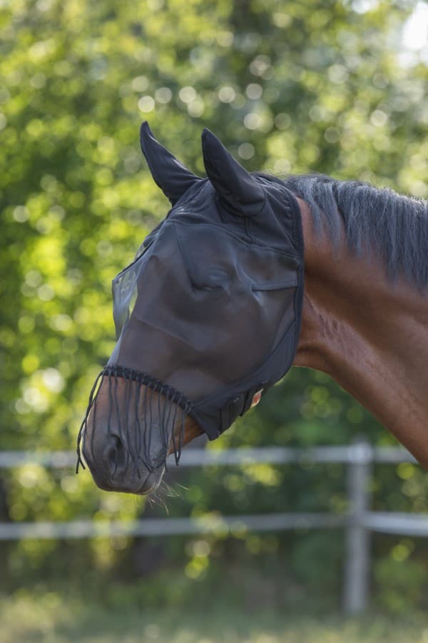 Flughuva, ponny-full, Kerbl