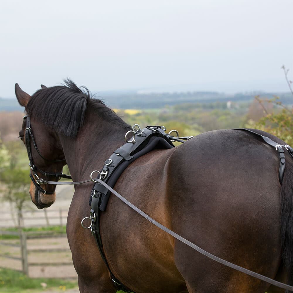 Tömkörningsgjord, ponny-full, Hansbo Sport