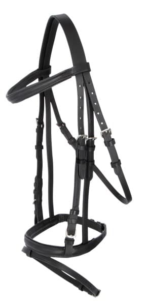 Aachenträns, ponny-full, Covalliero Standard