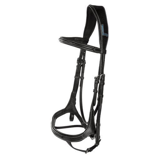 Aachenträns, ponny-xfull, Lippo Fazzino