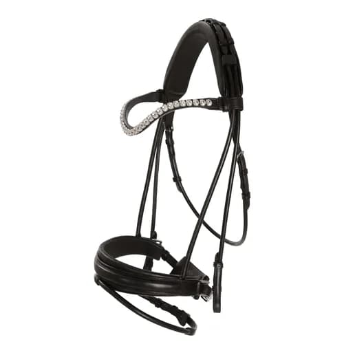 Aachenträns, cob-xfull, Lippo Supreme Caselle