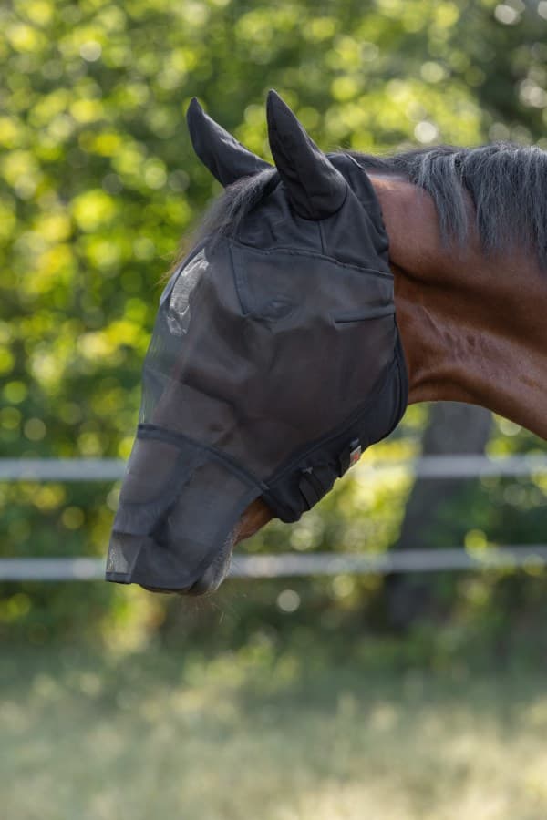 Flughuva, ponny-full, Kerbl