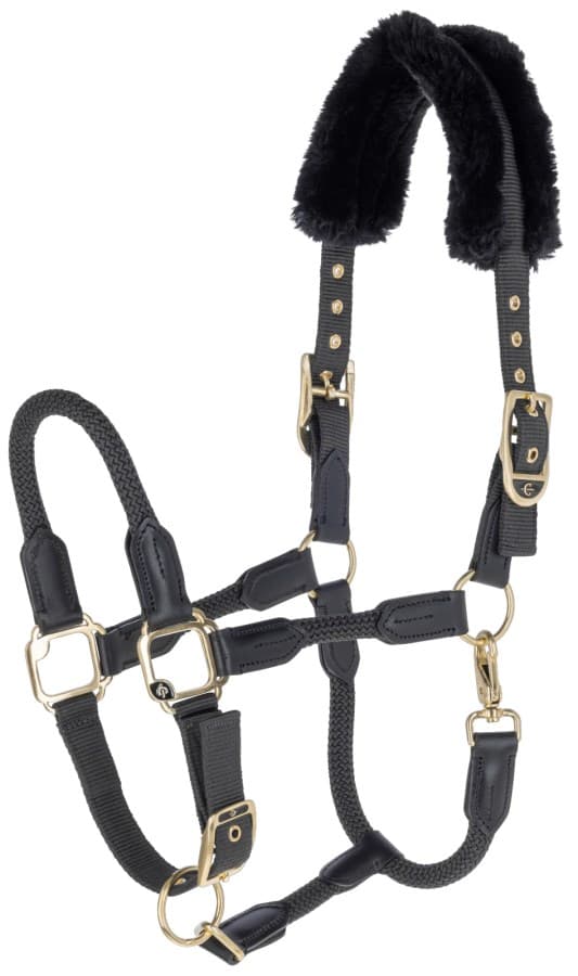 Nylongrimma, full, Covalliero Anniversary