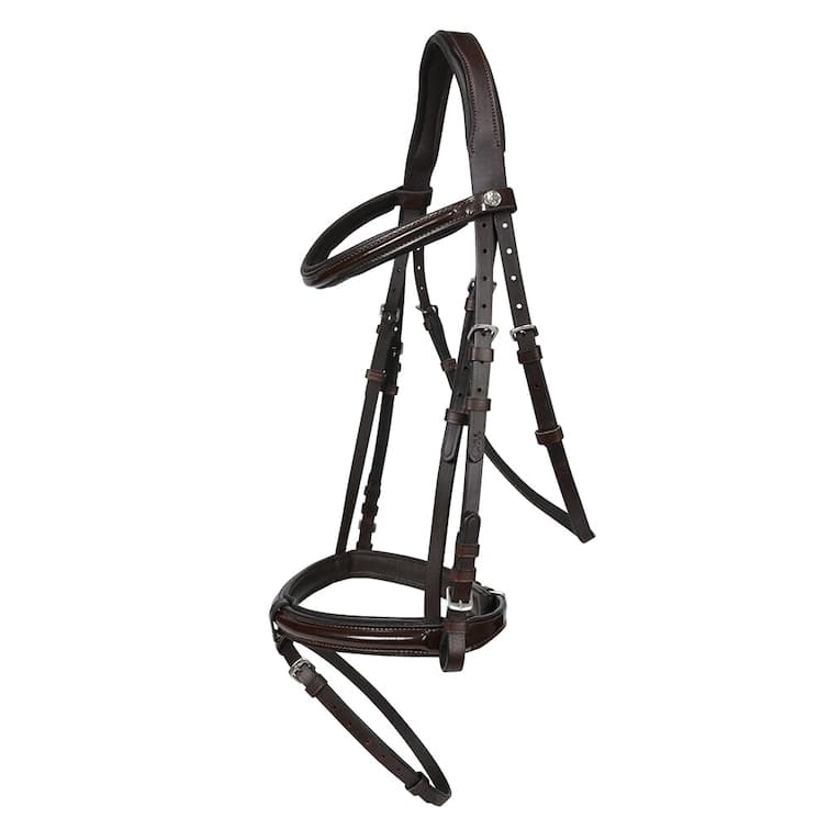 Aachenträns, ponny-full, HS Jolie