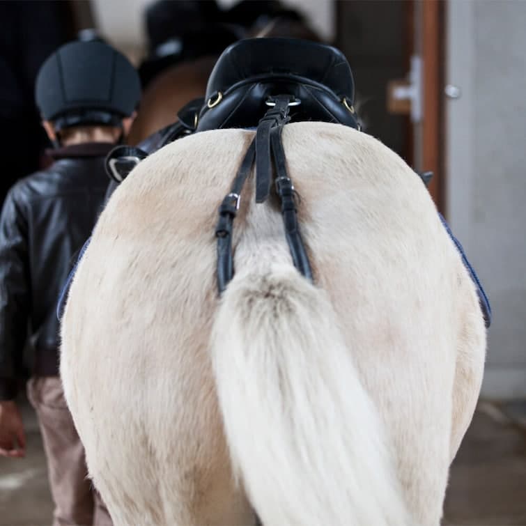 Svanskappa, ponny-full, Hansbo Sport