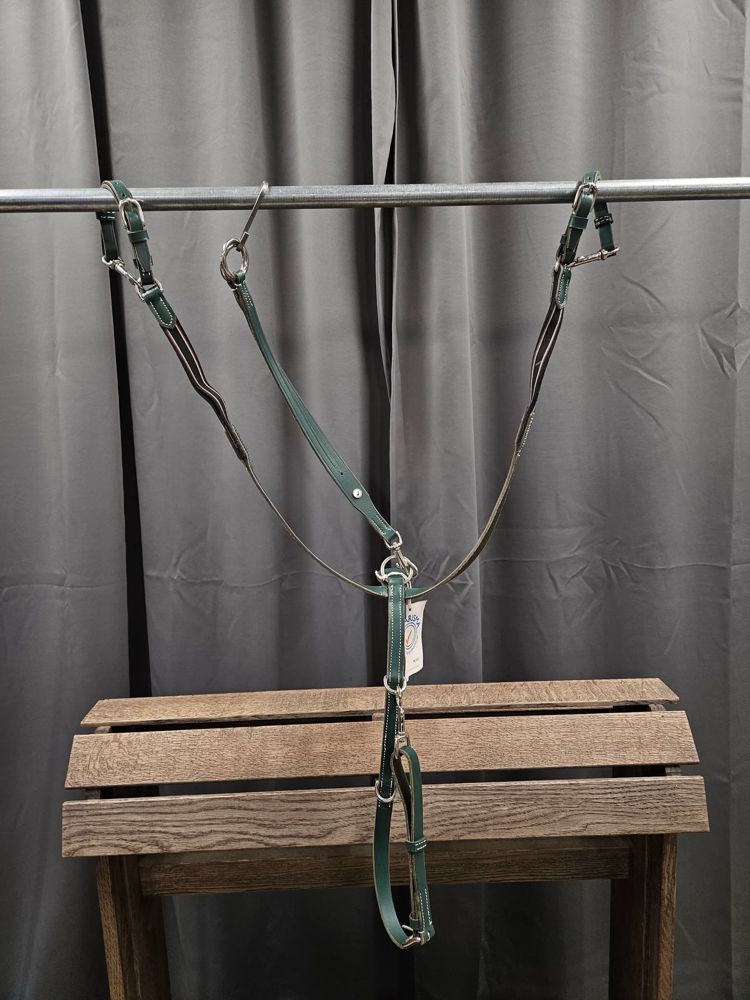 Förbygel, ponny, House of Charisma