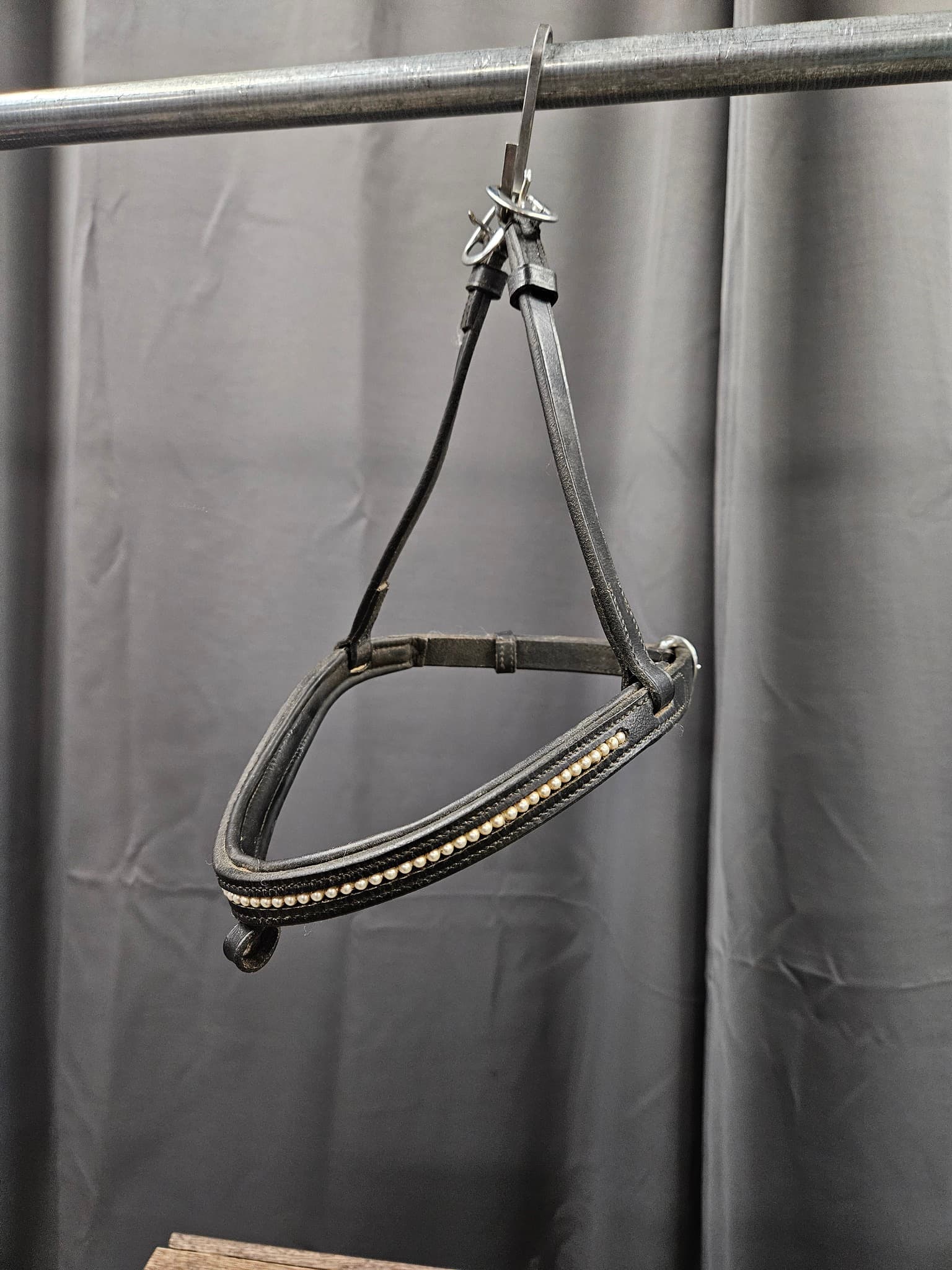 Aachennosgrimma, cob