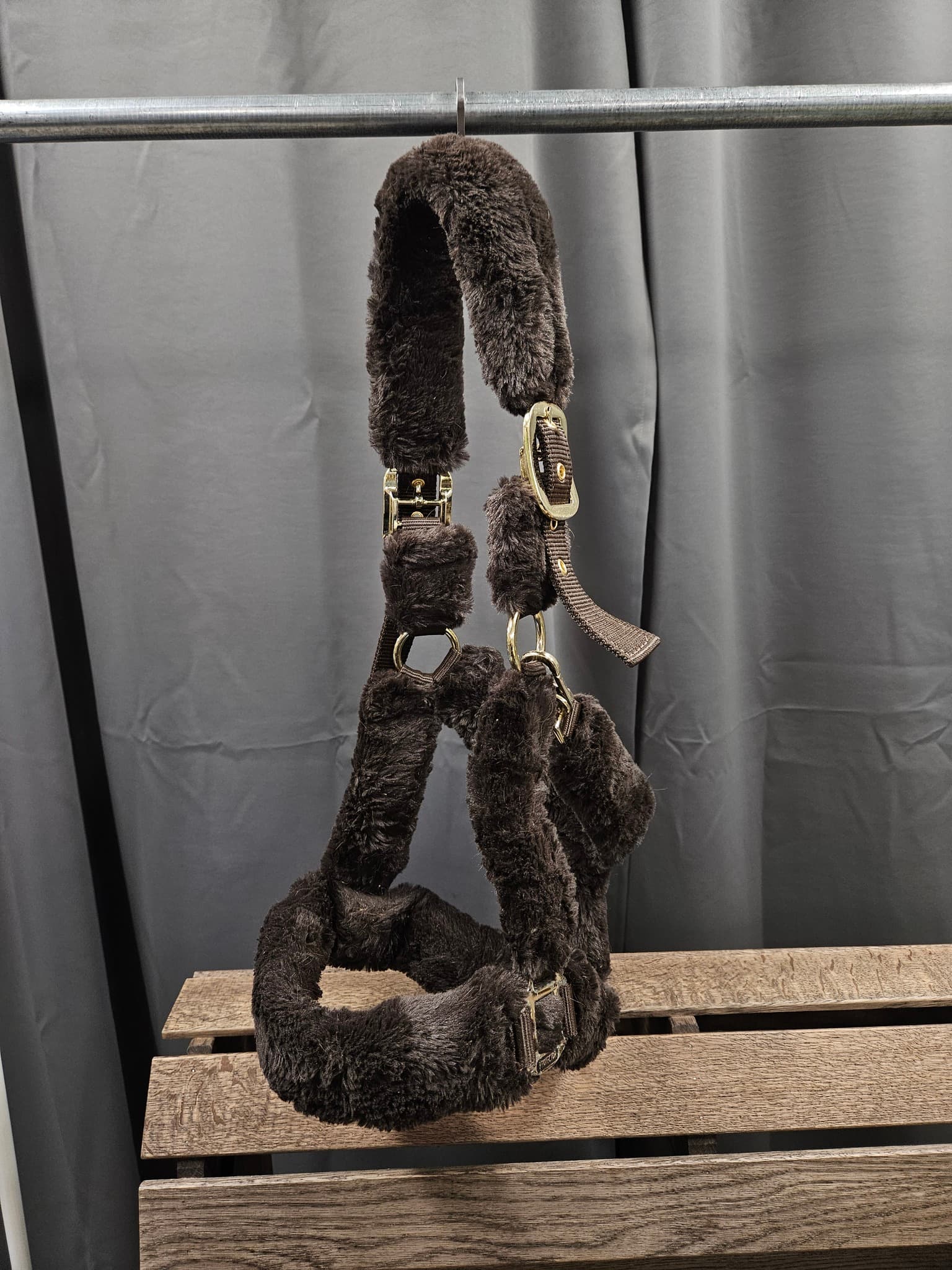 Luddgrimma, XF, Protector