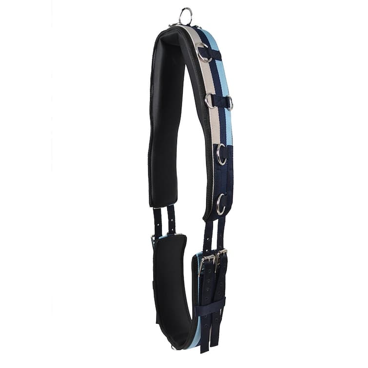 Longergjord, ponny-full, Hansbo Sport